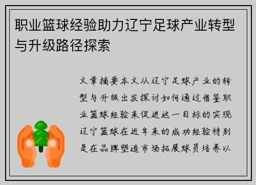 职业篮球经验助力辽宁足球产业转型与升级路径探索